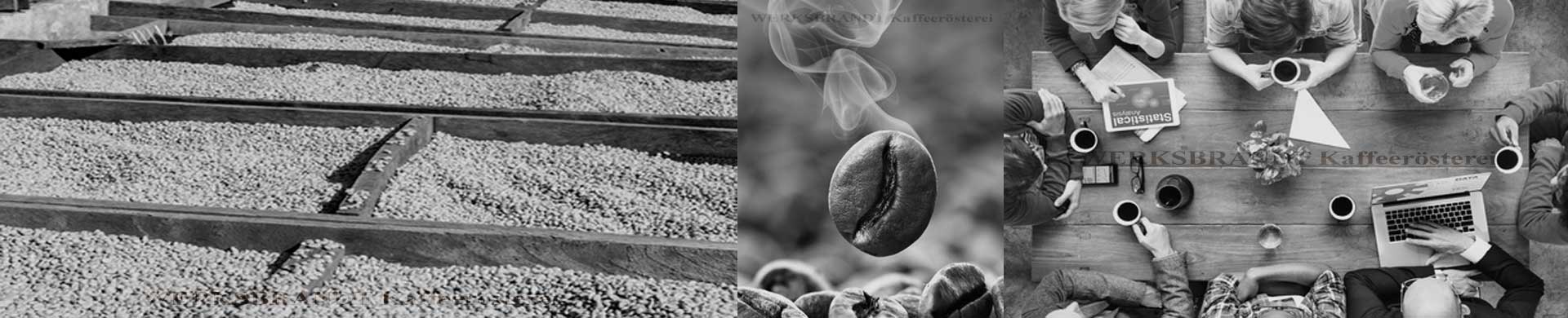 WERKSBRANDT Kaffeerösterei Impressionen Rohkaffee Kaffeebohne Besprechung mit Kaffee