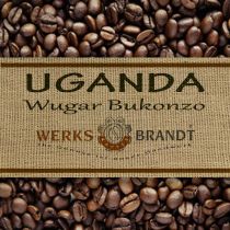 Uganda Wugar Bukonzo Bio sehr erlesen - fleischig - floral