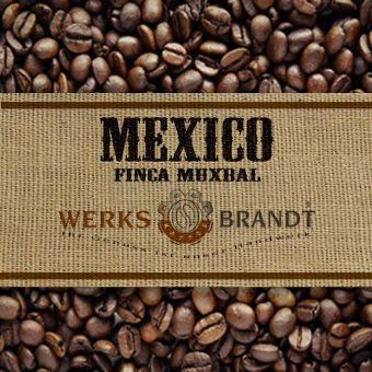 Mexico Finca Muxbal 500g