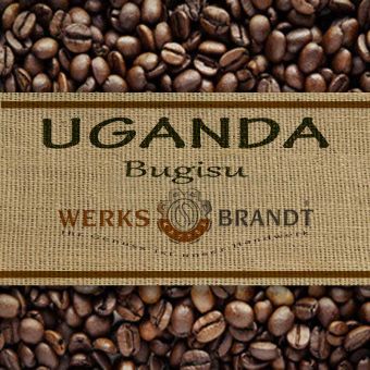 Uganda Bugisu 250g