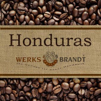 Honduras Capucas 