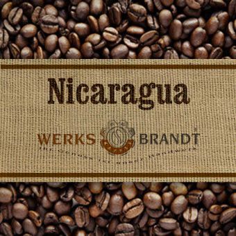 Nicaragua Finca Aurora 6x500g