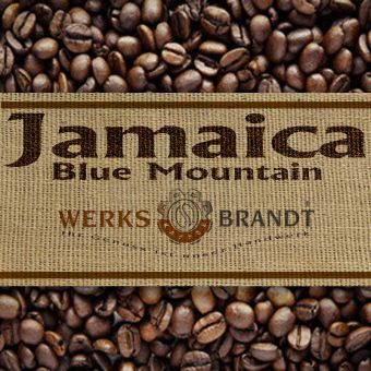 Jamaica Blue Mountain 250g