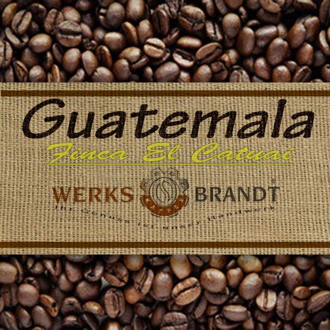 Guatemala Finca El Catuai 6x500g