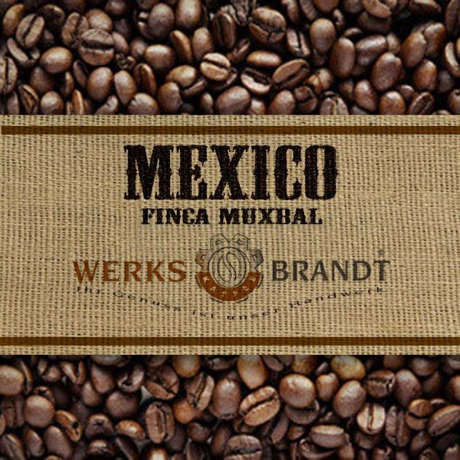 Mexico Finca Muxbal 250g