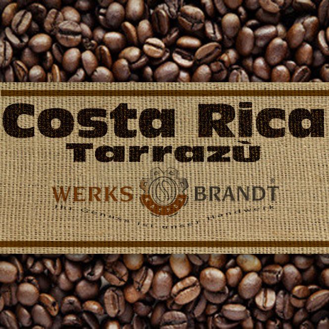 Costa Rica Finca Arecas 500g